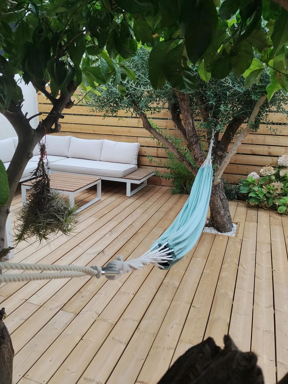 Patio, Garden view