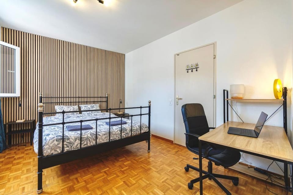 Large Terrace, 2-Bedroom Apartment in Geneva Apartment in Geneva