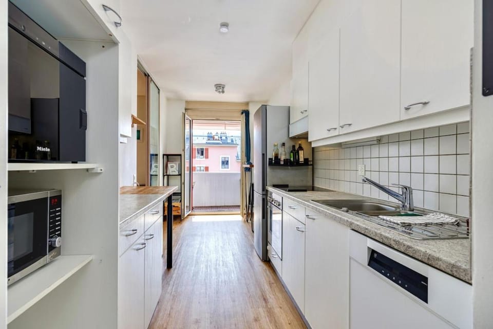 Large Terrace, 2-Bedroom Apartment in Geneva Apartment in Geneva