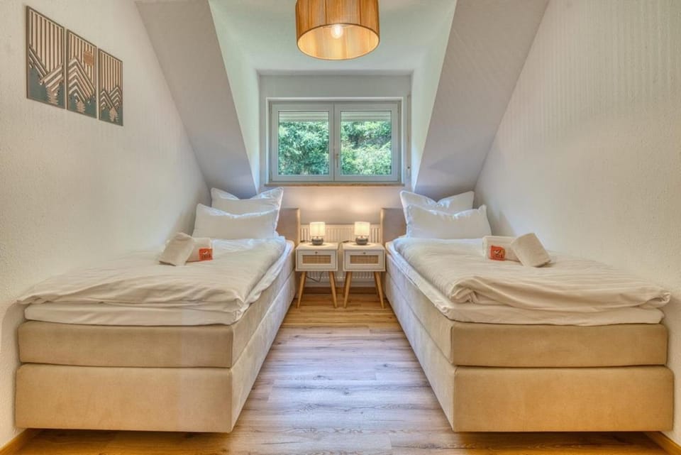 3Seen - Kino - Grill - Feldberg - Schluchsee Apartment in Schluchsee