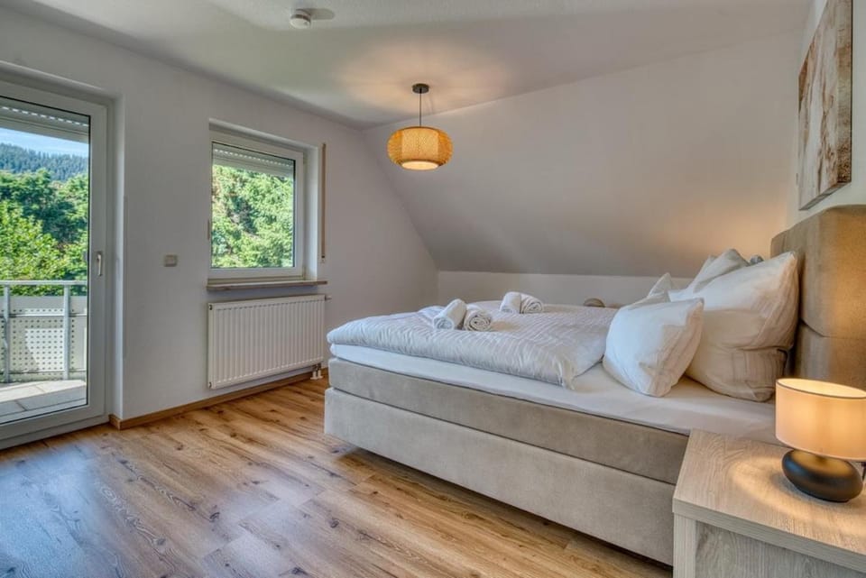 3Seen - Kino - Grill - Feldberg - Schluchsee Apartment in Schluchsee