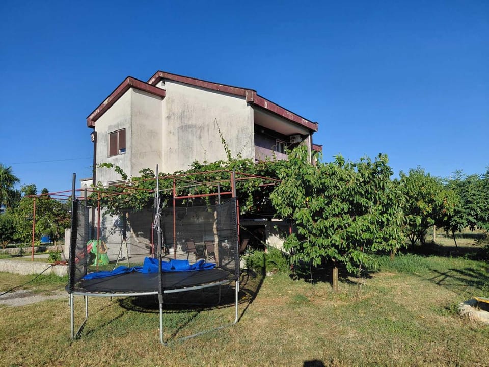 Kiwi house House in Podgorica
