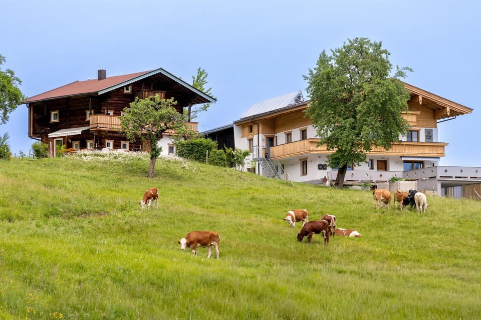 Egger Stall Apartment in Tyrol