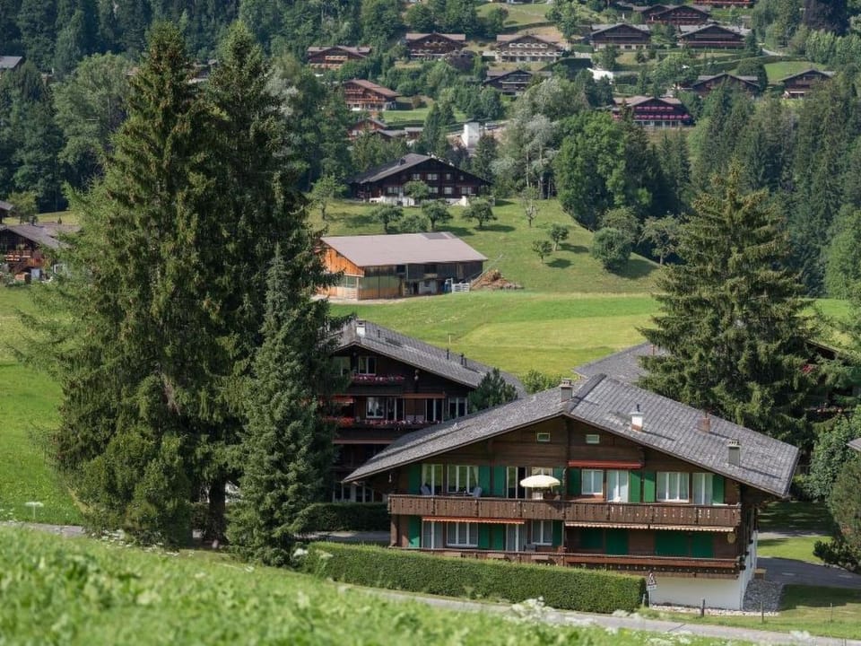 Apartment Les Silenes Appartement-Fewo- Dusche oder Bad- WC 6-Bettwohnung by Interhome Apartment in Saanen