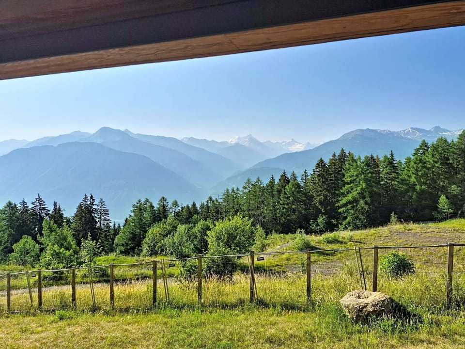 View (from property/room)