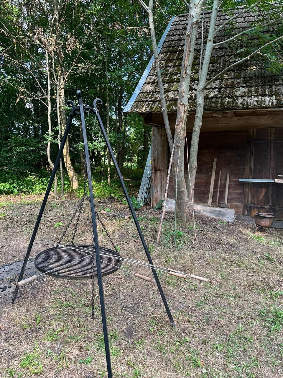 Day, Garden