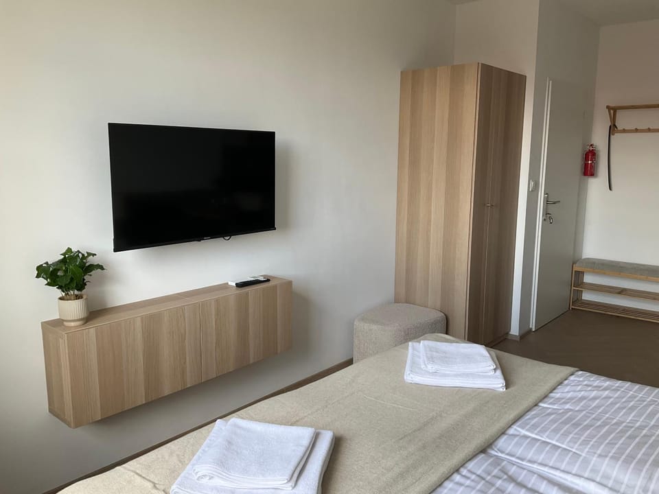 TV and multimedia