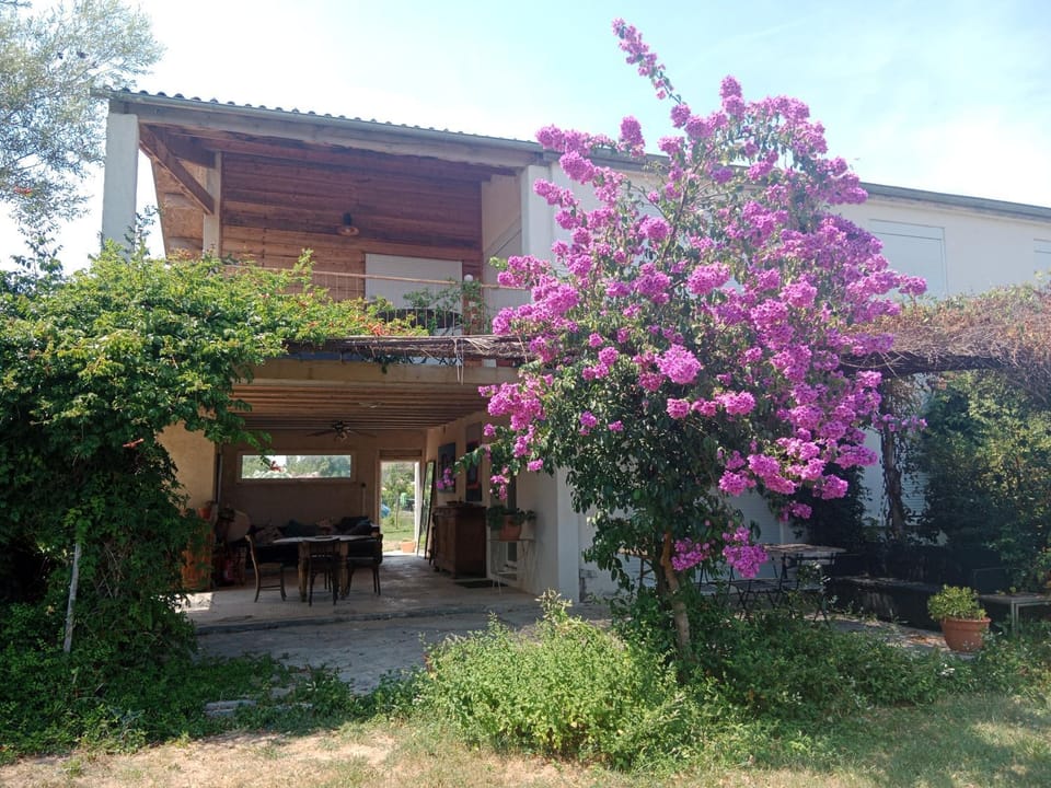 Property building, Spring, Garden, Garden view
