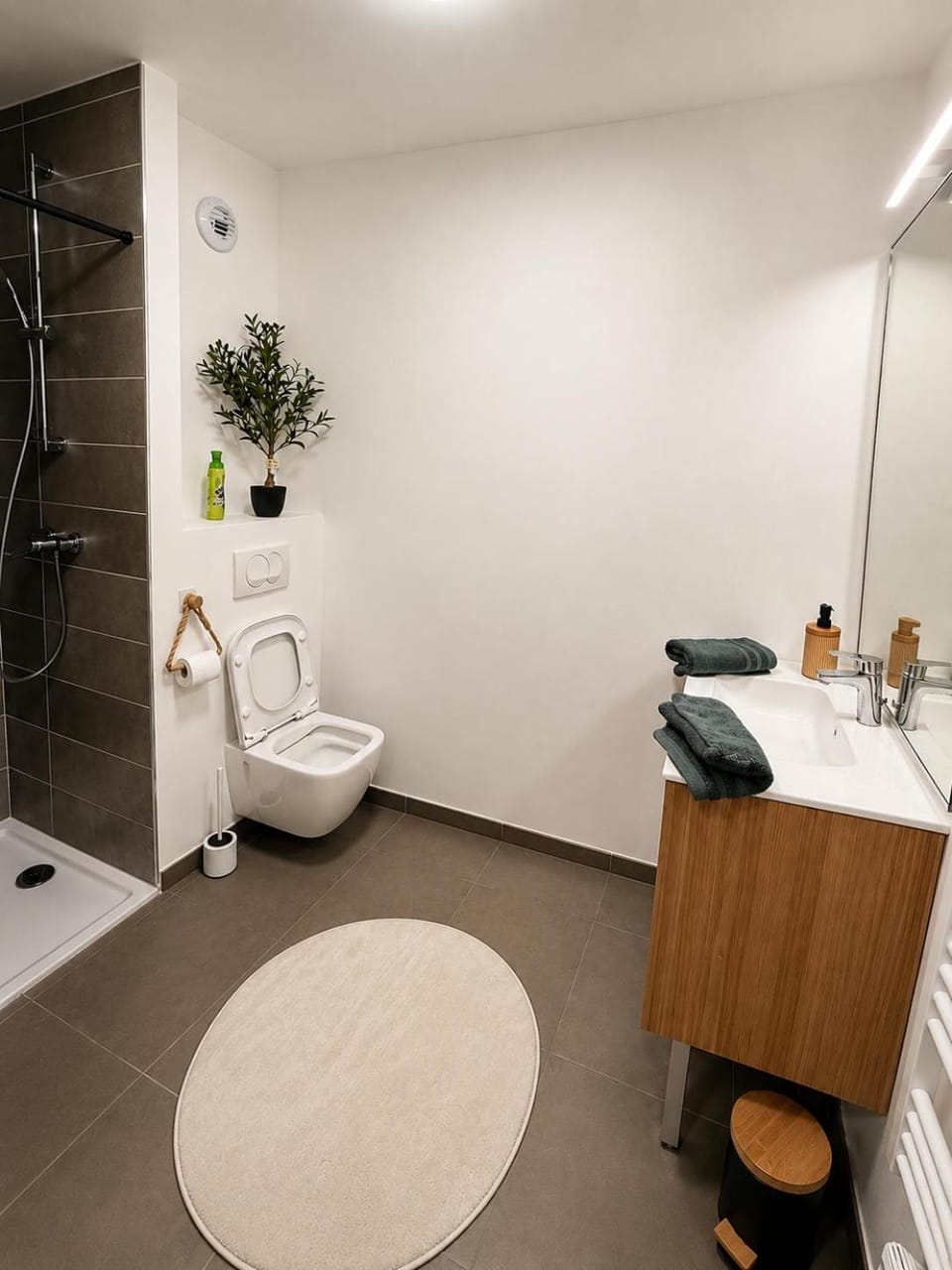 Cozy 2-bedroom apartment with terrace for 4 people Apartment in Villeurbanne