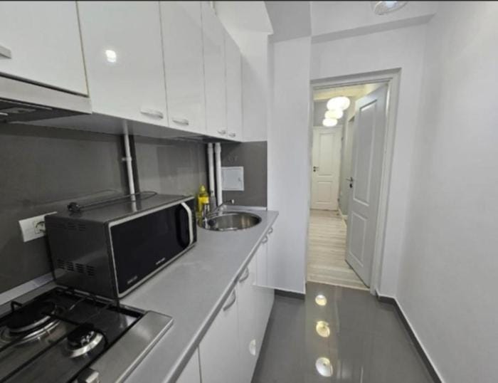 Terra Romana Apartment Apartment in Bucharest