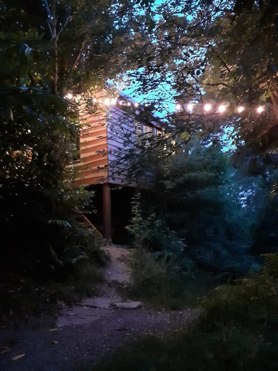 Ark Ranch Treehouse, rainforest oasis in West Cork Chalet in County Cork