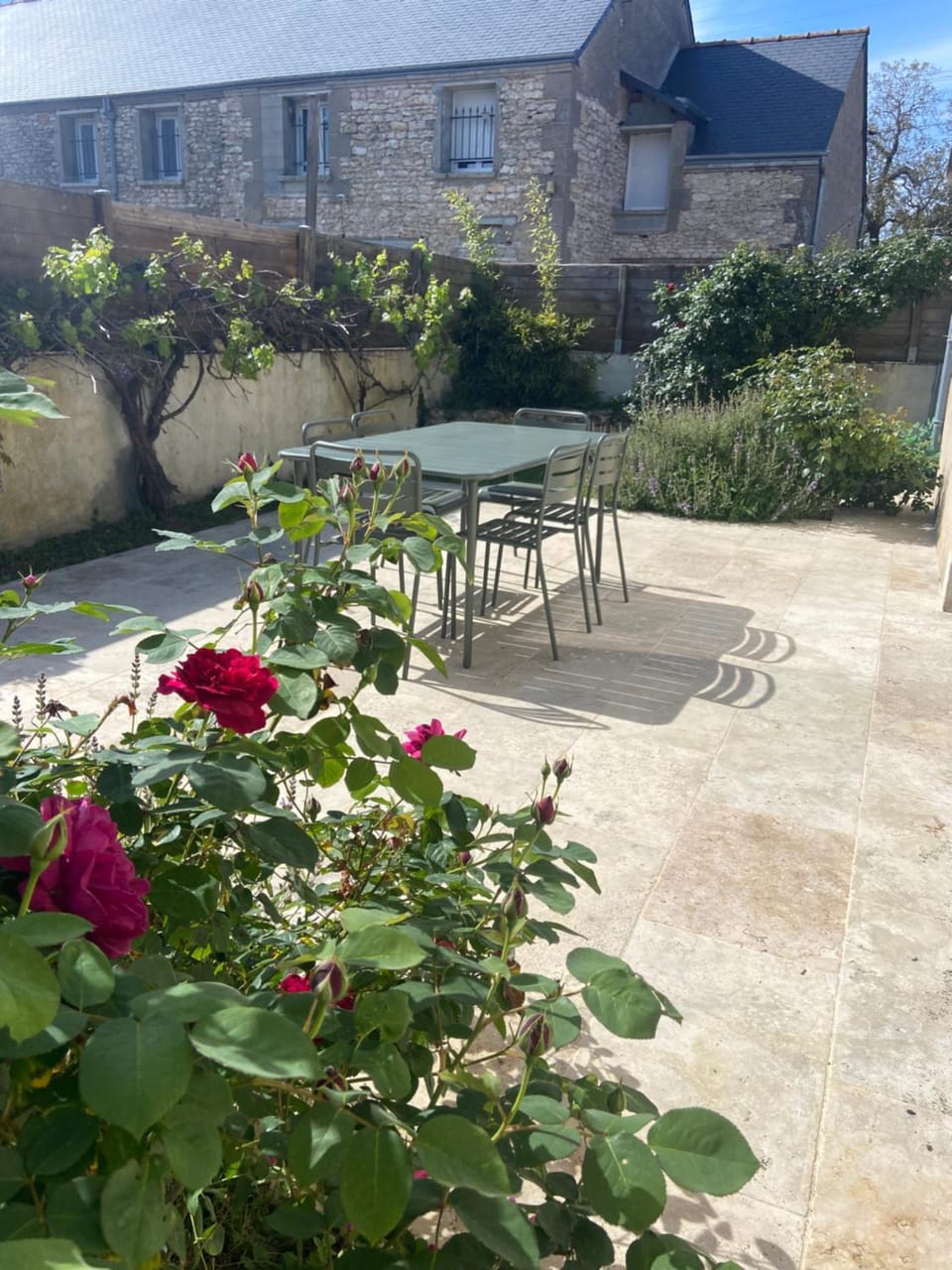 Patio, Garden, Dining area