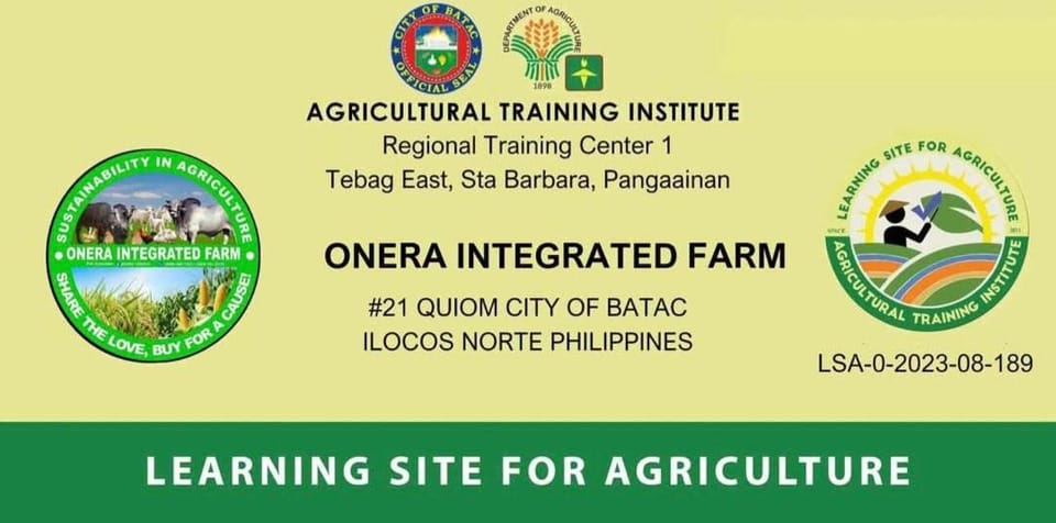 Onera Farm - Cattle in Ilocos Norte Farm Stay in Cordillera Administrative Region