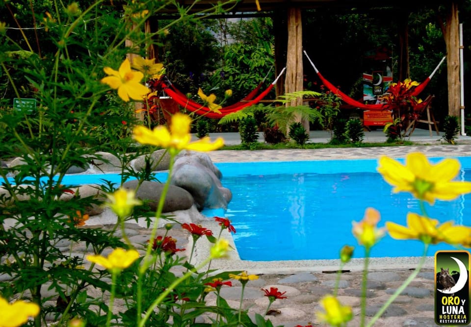 Activities, Fishing, Table tennis, Canoeing, Hiking, Pool view, Swimming pool