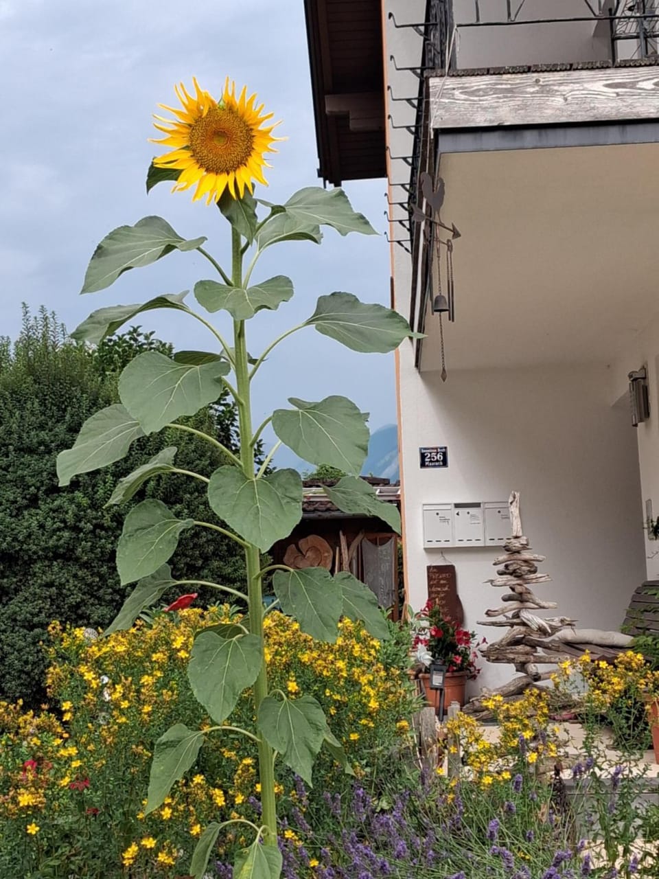 Auszeit von A bis Z Apartment in Tyrol