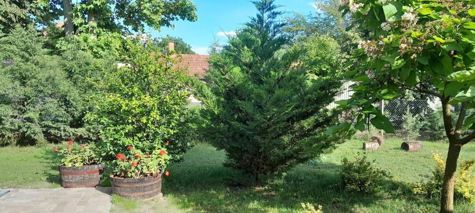 Off site, Garden, View (from property/room)