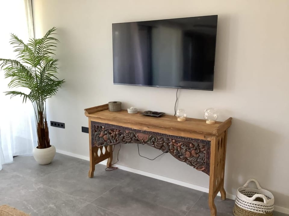 TV and multimedia
