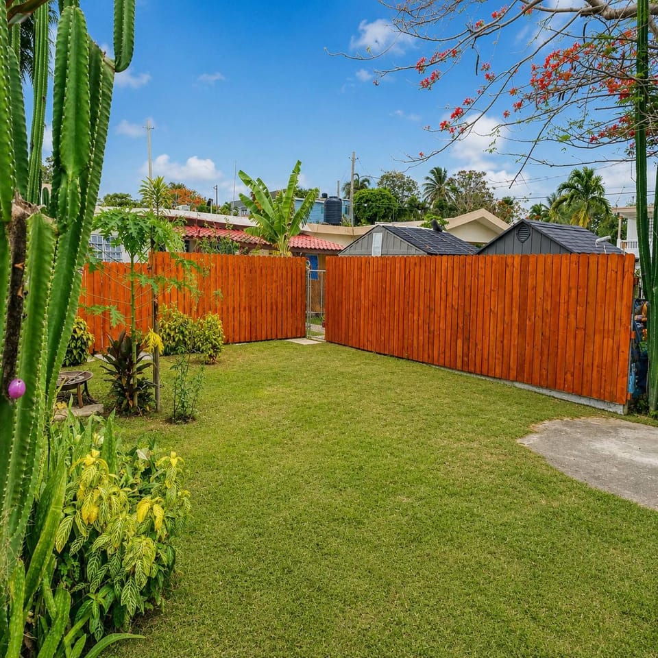 Garden