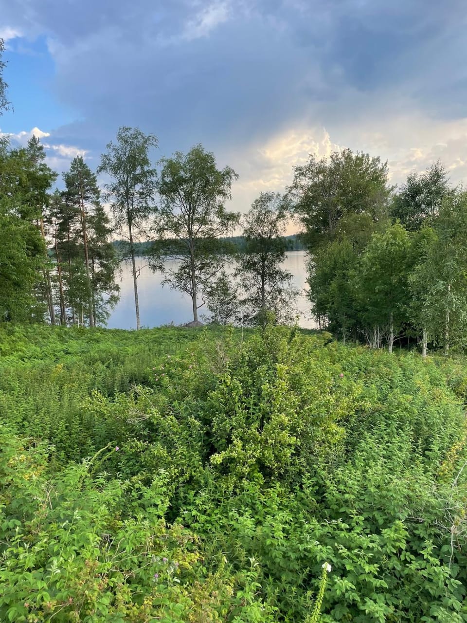 Natural landscape, View (from property/room), Lake view