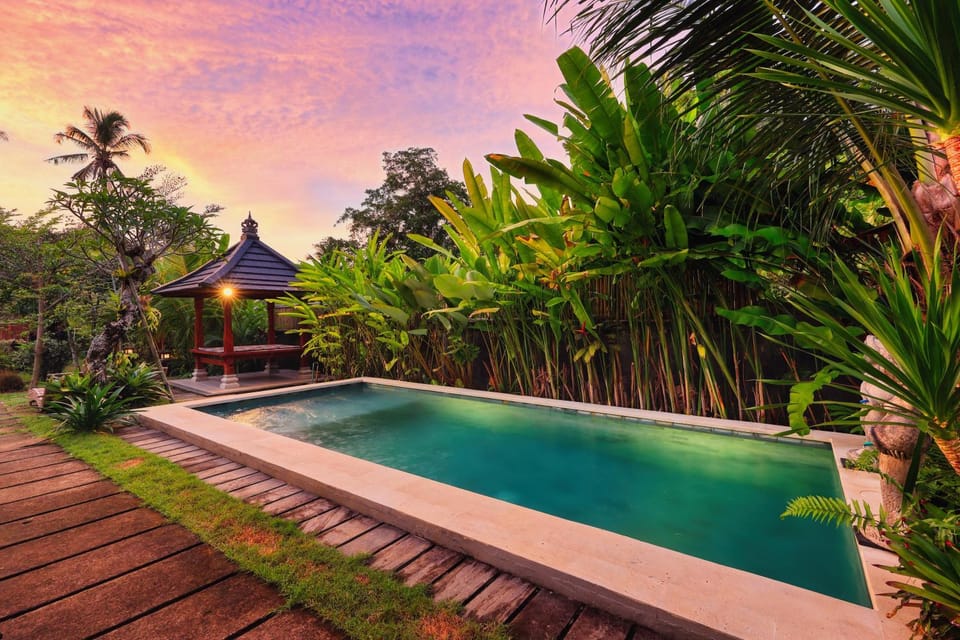 Garden, Pool view, Swimming pool