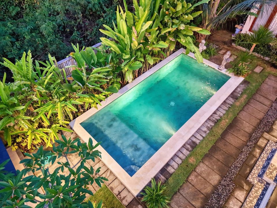 Garden, Garden view, Pool view, Swimming pool
