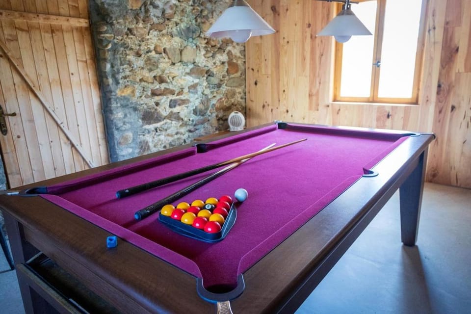 Pyreneasy 3 Gites, 8 bedrooms for a large group Chalet in Occitanie