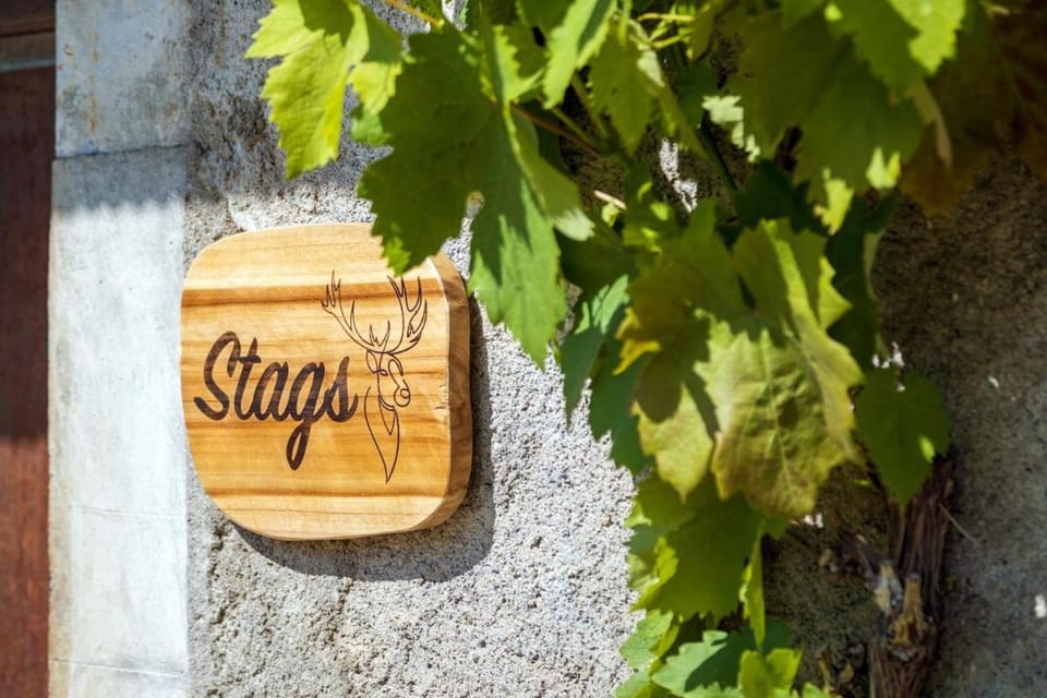 Pyreneasy 3 Gites, 8 bedrooms for a large group Chalet in Occitanie