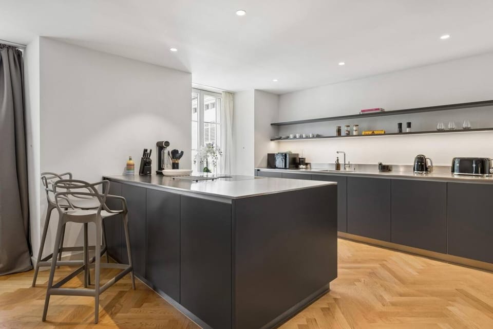 Designer Old Town residence WaterView AC Apartment in Zurich City