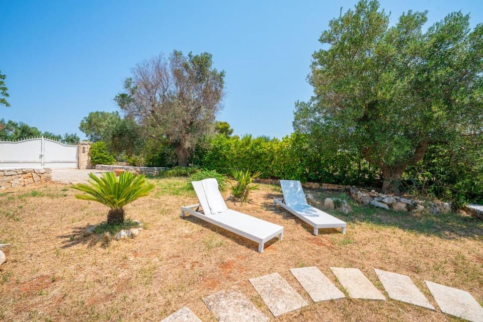 Day, Garden, Garden view, sunbed