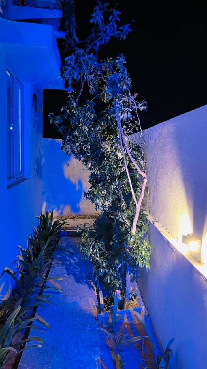 Property building, Night