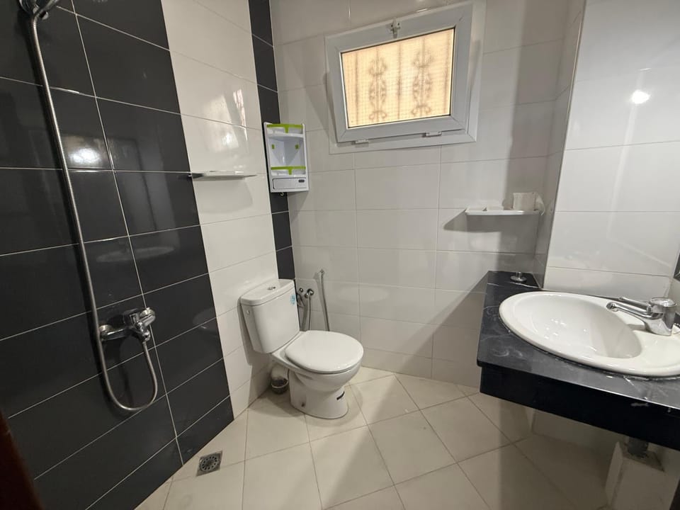Shower, Toilet, Bathroom, bidet