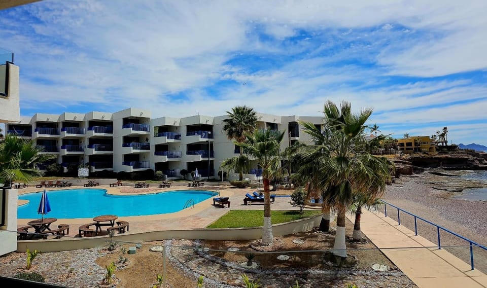Garden, Swimming pool