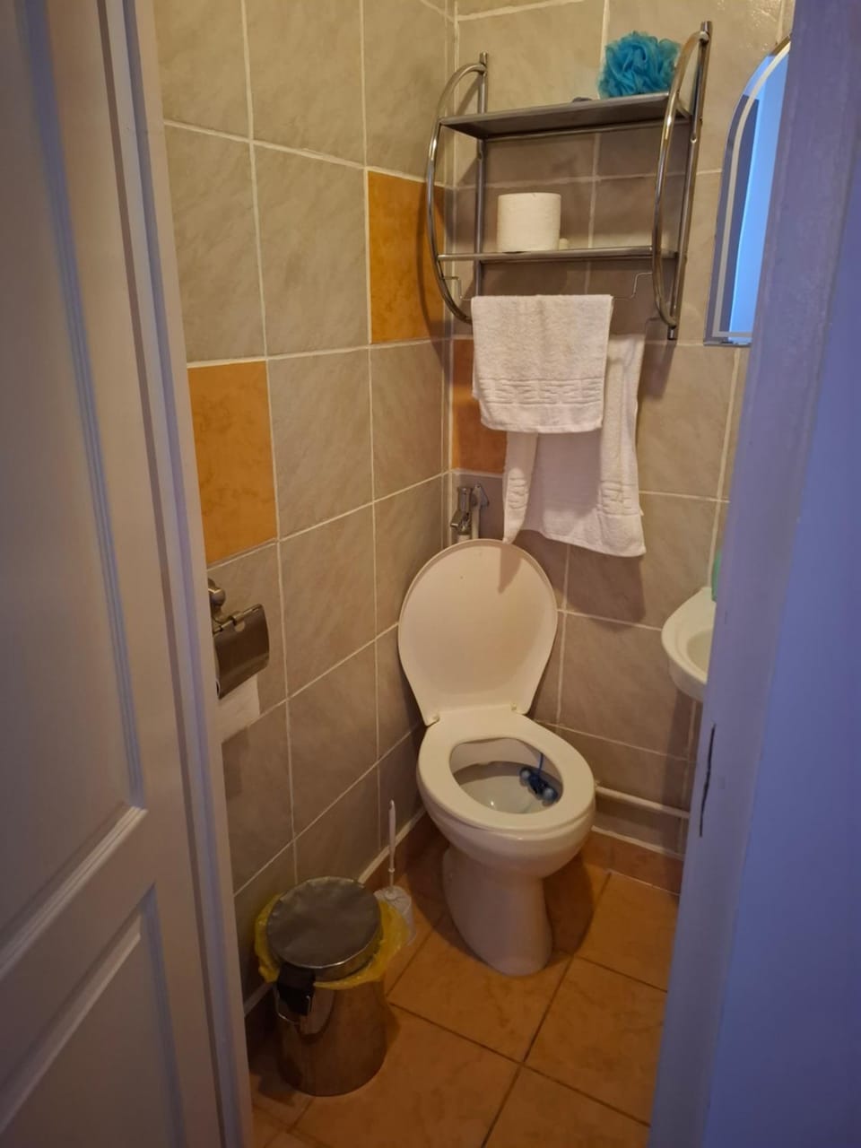 Toilet, Bathroom