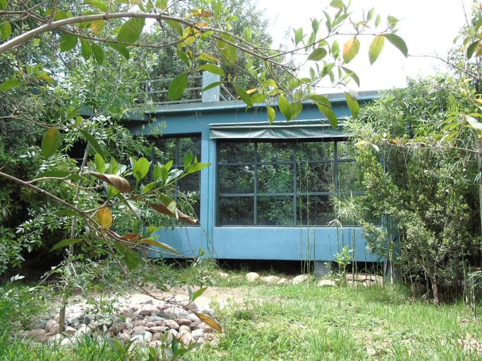 Property building, Spring, Natural landscape, Garden, Garden view