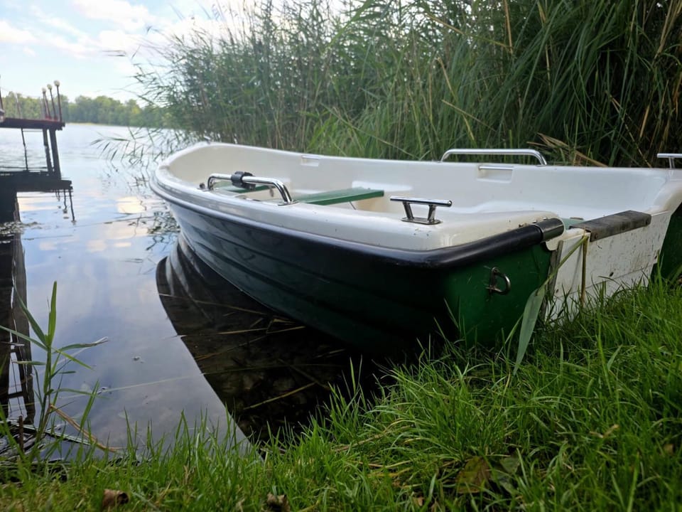 Lake view