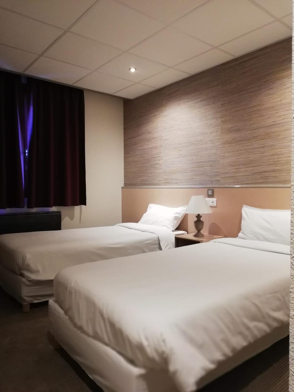 Hôtel Le Savoie Hotel in Auvergne-Rhône-Alpes