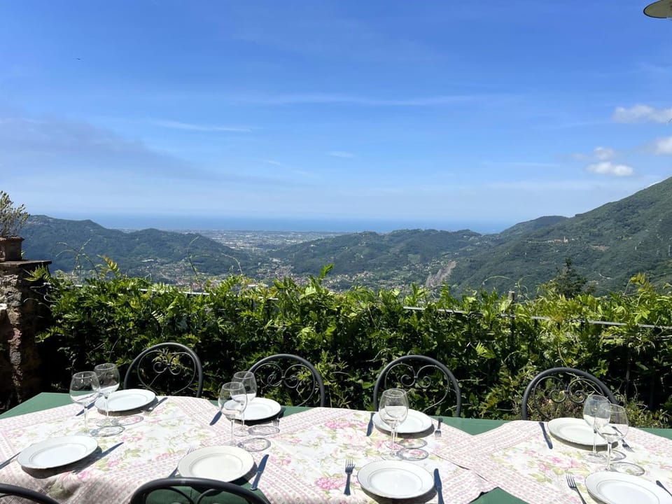 Rosmarino e Salvia House in Camaiore