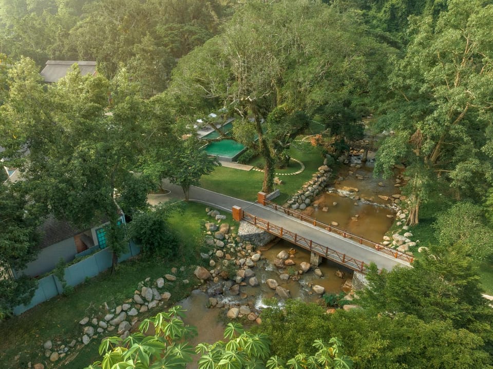 Spring, Day, Neighbourhood, Natural landscape, Bird's eye view, Garden, Garden view