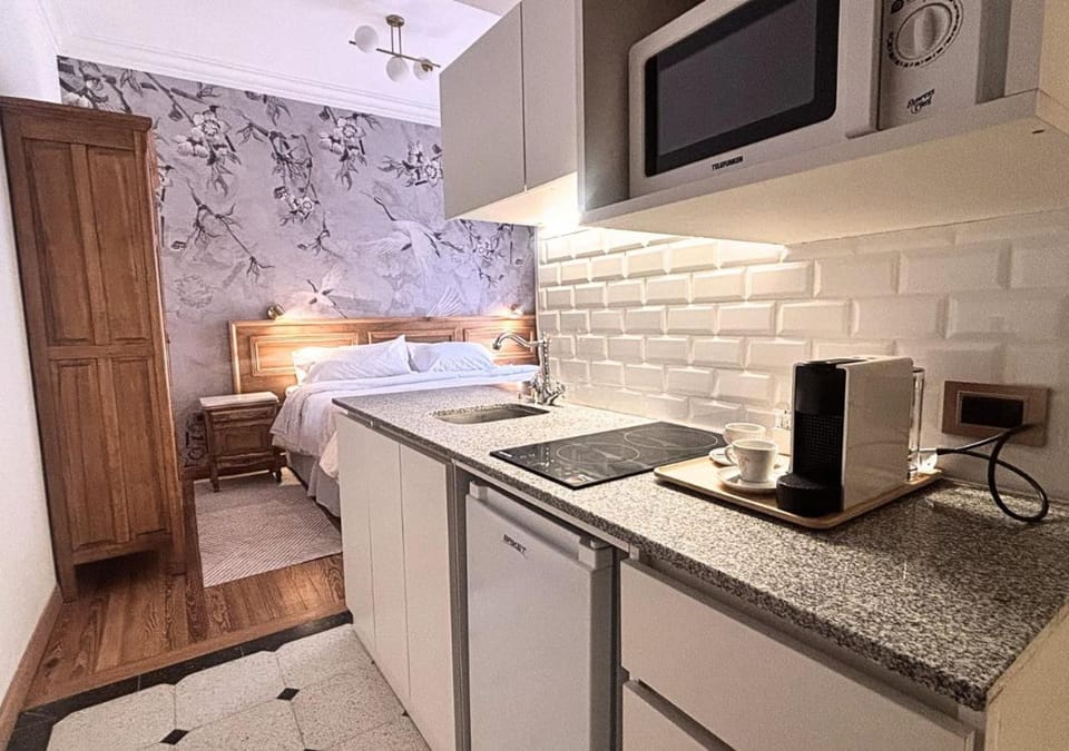 Kitchen or kitchenette, kitchen