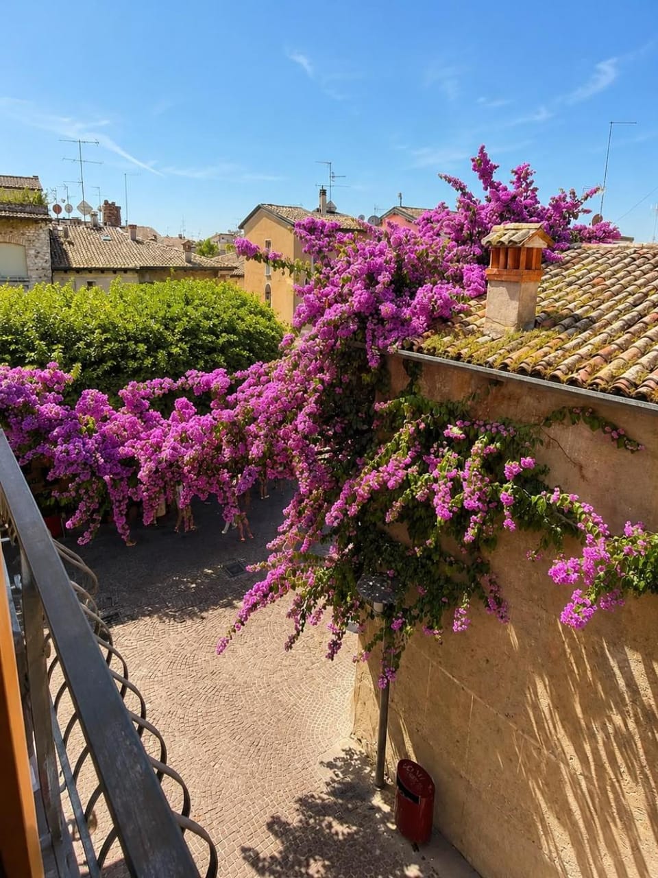 Spring, Day, Garden, Garden view