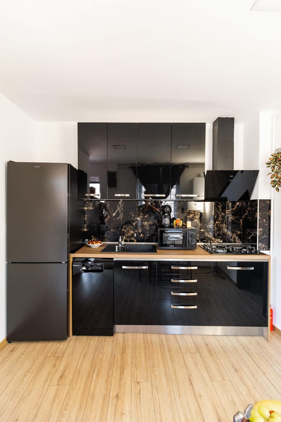 Kitchen or kitchenette, dishwasher, stove