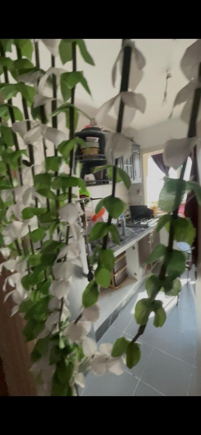Tanger Apartment in Tangier