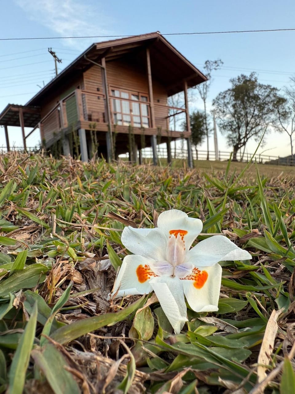 Sítio Brisa da Serra Conforto e Tranquilidade House in State of Santa Catarina