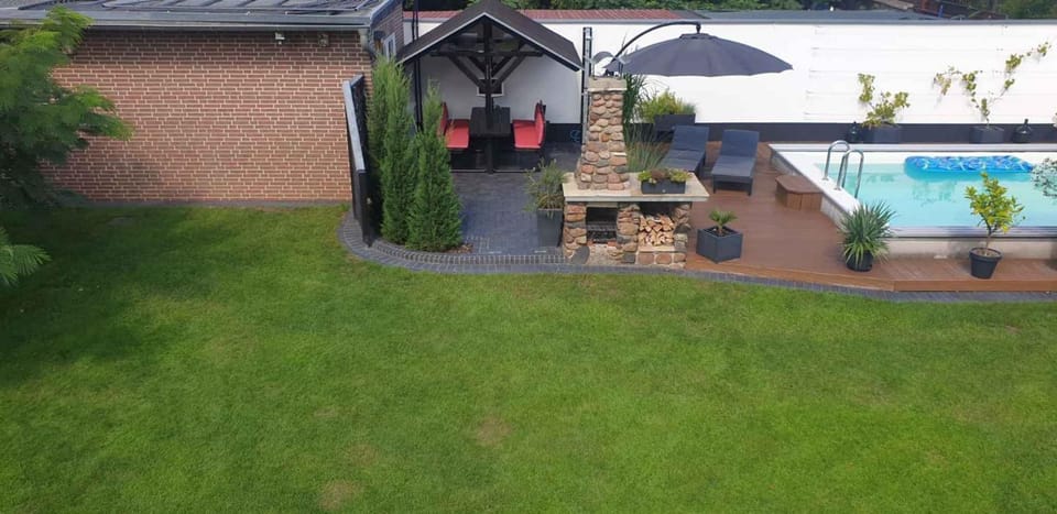 Summer, Garden, Swimming pool