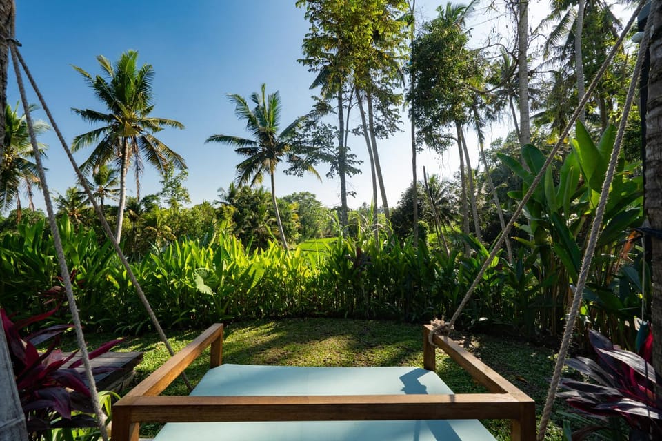 Day, Natural landscape, Garden, Garden view