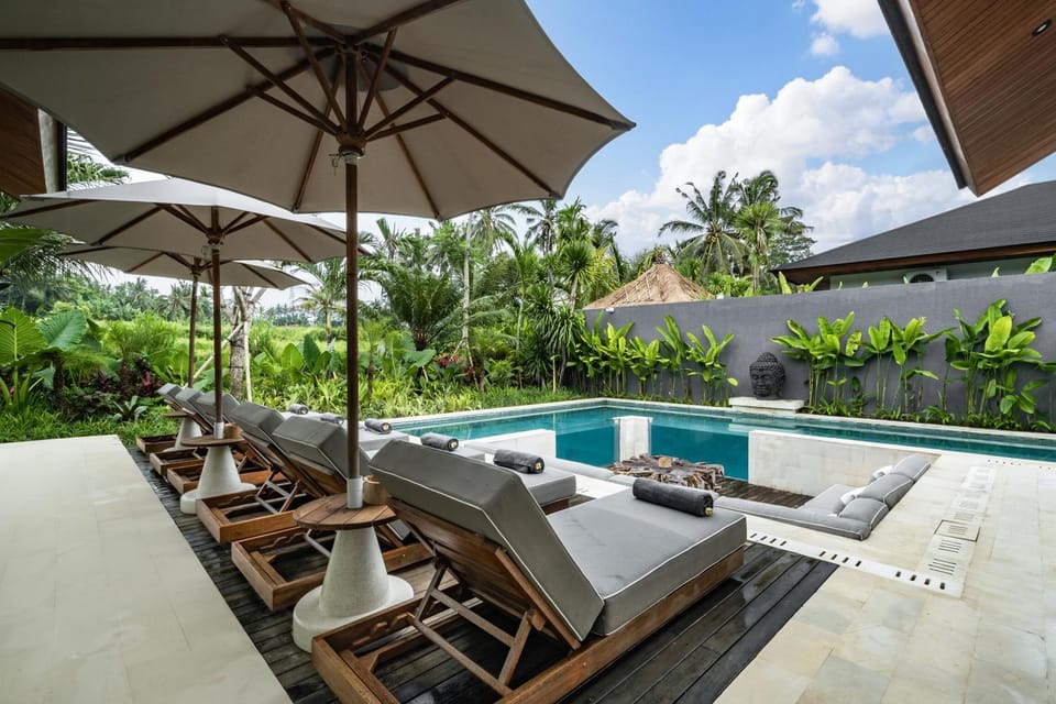 Swimming pool, sunbed