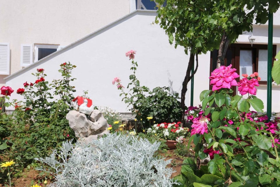 Summer, Garden