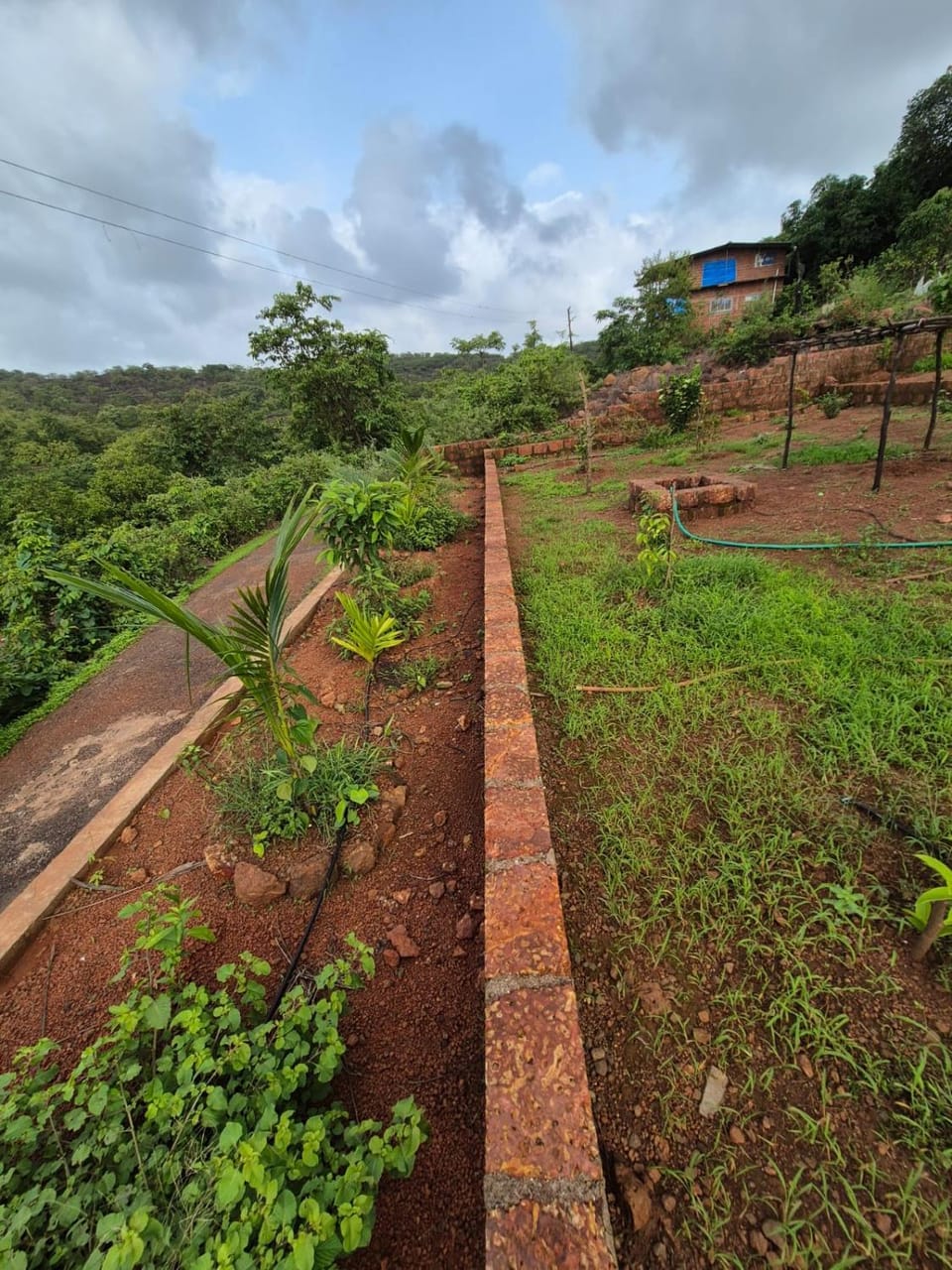Garden, Garden view