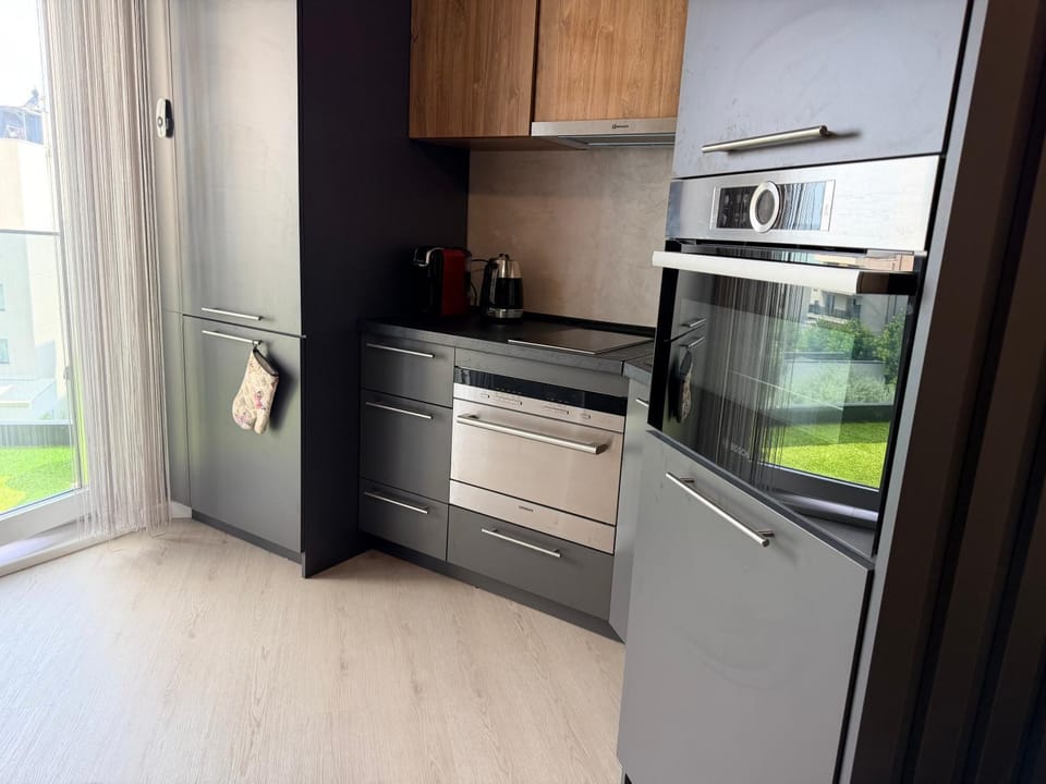 Kitchen or kitchenette, kitchen