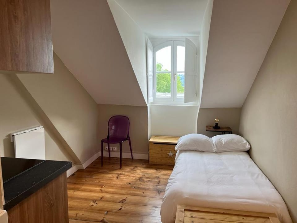 Small nest - Castle view Apartment in Pau